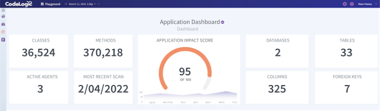 CodeLogic application dashboard with classes, methods, and application impact score